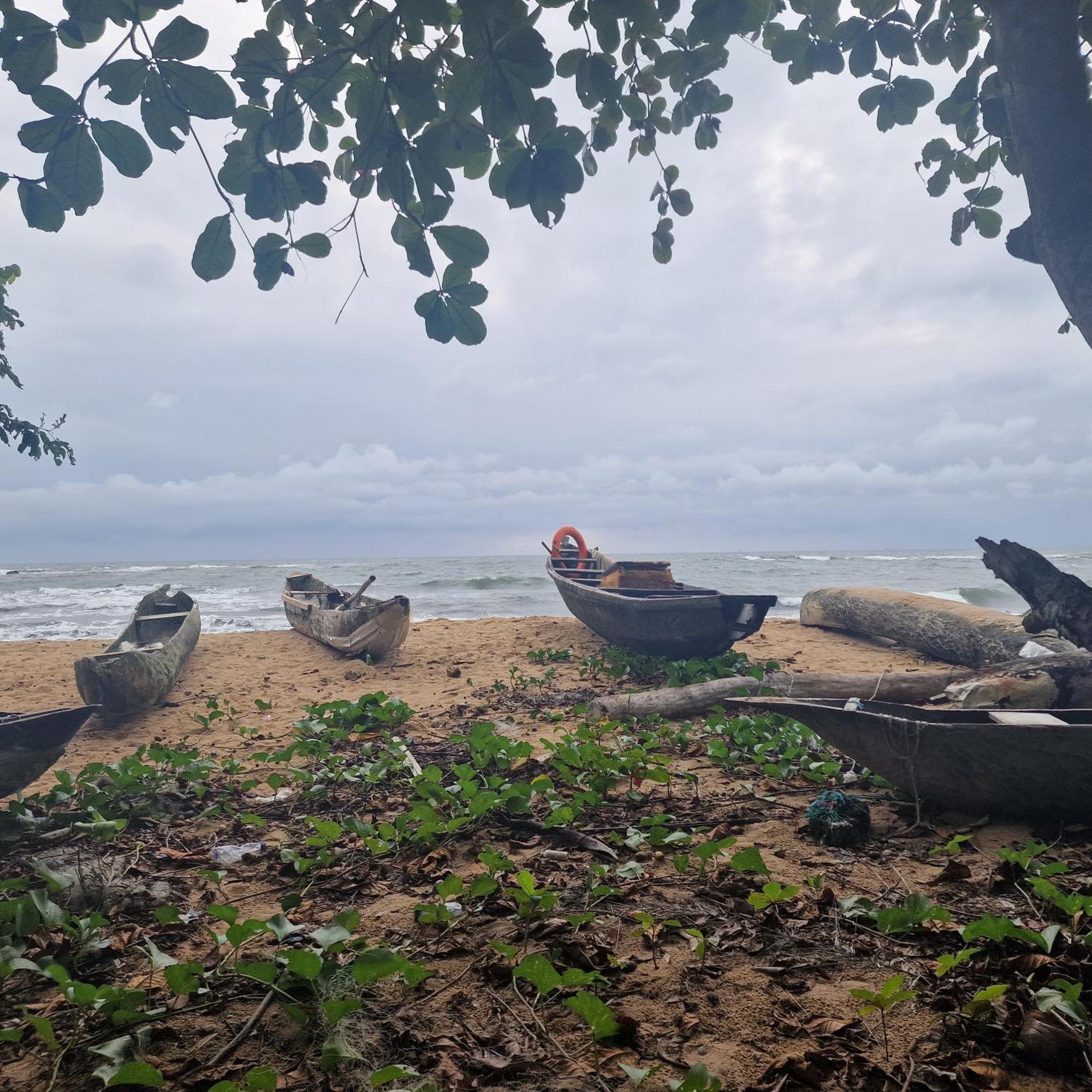 La Villa Lou, Musee Des Arts Grand Batangua Kribi Exterior photo